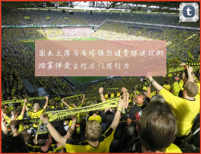 国米主席马洛塔强烈谴责球迷投掷烟雾弹袭击对方门将行为